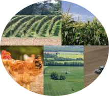 agroalimentaire-secteur-activite-recrutement-assessment